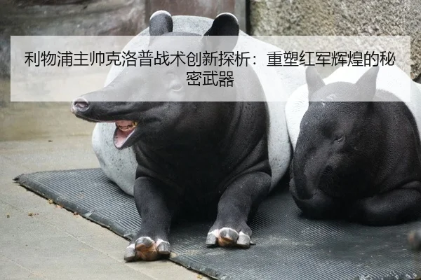 利物浦主帅克洛普战术创新探析：重塑红军辉煌的秘密武器